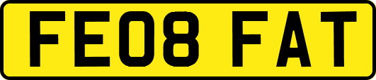 FE08FAT