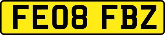 FE08FBZ