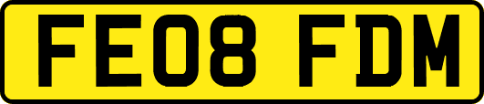 FE08FDM