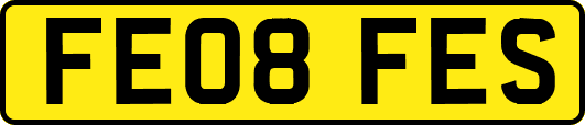 FE08FES