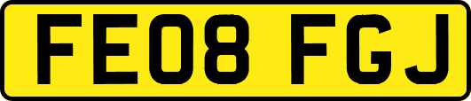 FE08FGJ