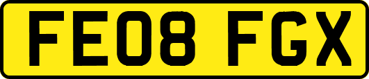 FE08FGX