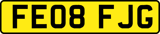 FE08FJG