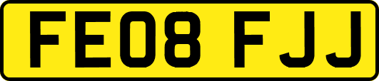 FE08FJJ