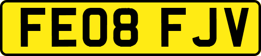 FE08FJV