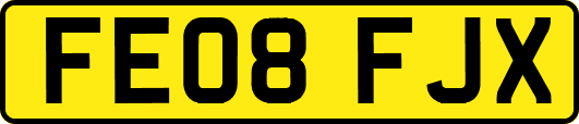 FE08FJX