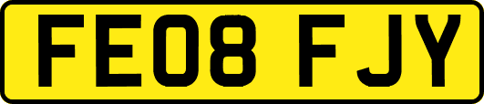FE08FJY