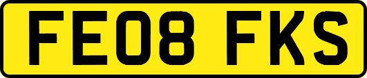 FE08FKS