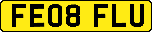 FE08FLU