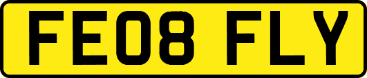 FE08FLY