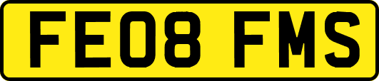 FE08FMS