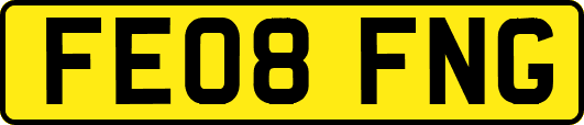 FE08FNG