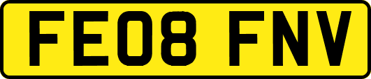 FE08FNV