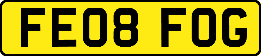 FE08FOG