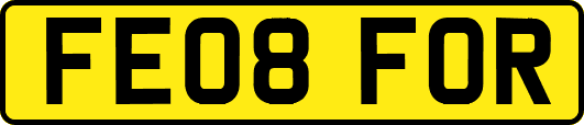 FE08FOR