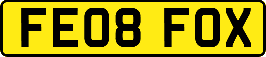 FE08FOX