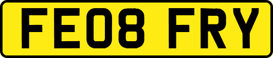 FE08FRY