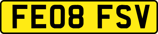 FE08FSV