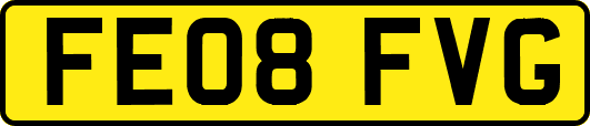 FE08FVG