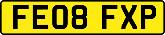 FE08FXP