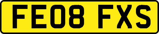 FE08FXS