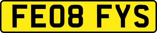FE08FYS