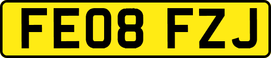 FE08FZJ