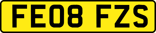 FE08FZS