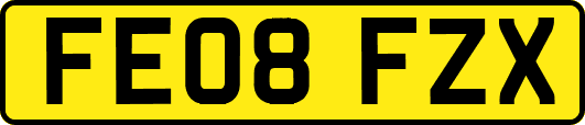 FE08FZX
