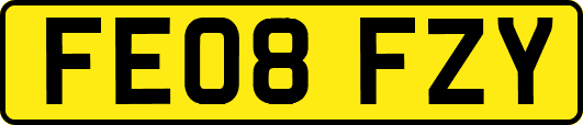 FE08FZY