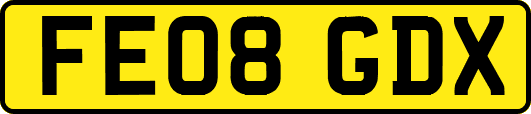 FE08GDX
