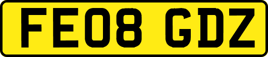 FE08GDZ