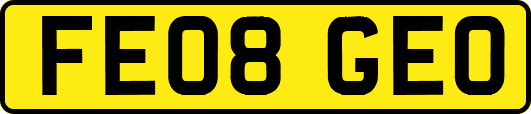FE08GEO