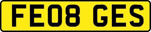 FE08GES