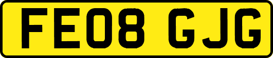 FE08GJG