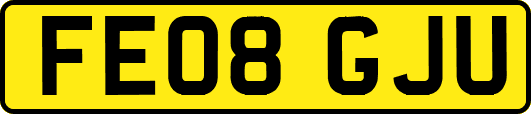 FE08GJU