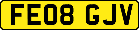 FE08GJV