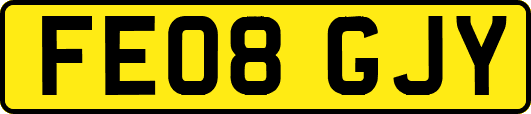 FE08GJY