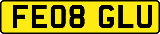 FE08GLU