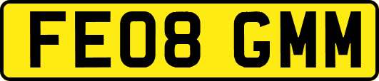 FE08GMM