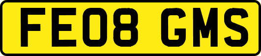 FE08GMS