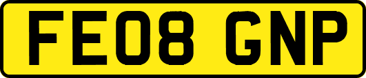 FE08GNP