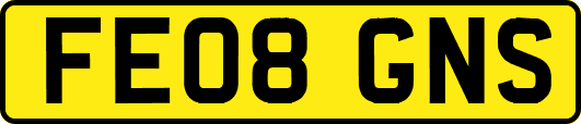 FE08GNS