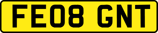 FE08GNT