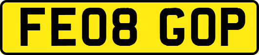 FE08GOP