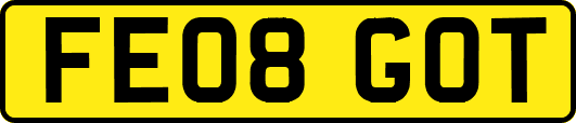 FE08GOT