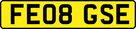 FE08GSE