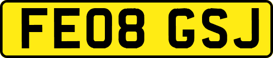 FE08GSJ