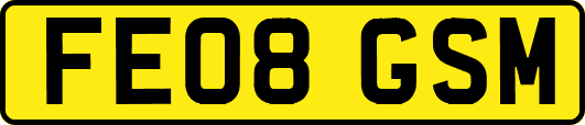 FE08GSM