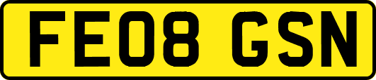 FE08GSN